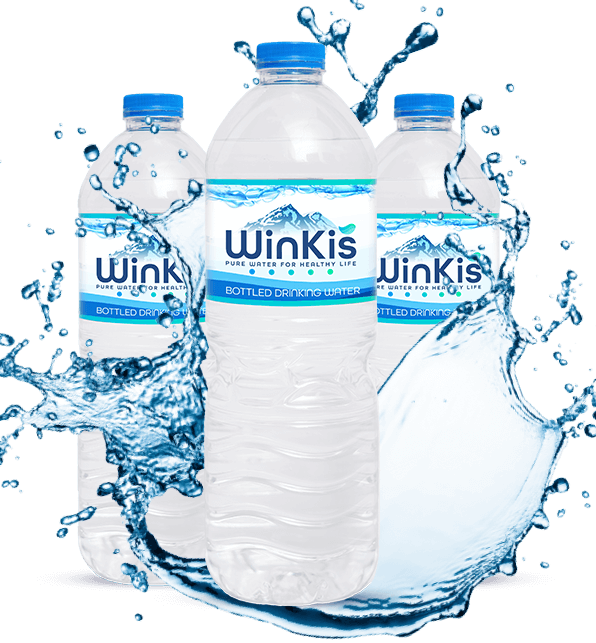 winkis-about-3
