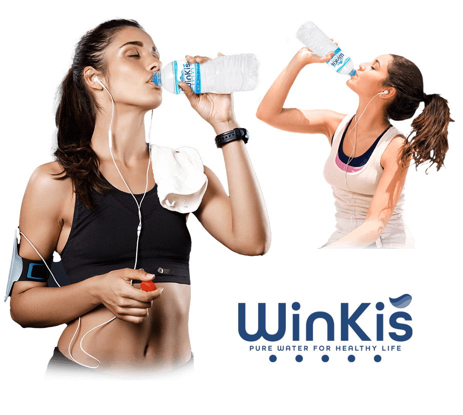 winkis-hero-1